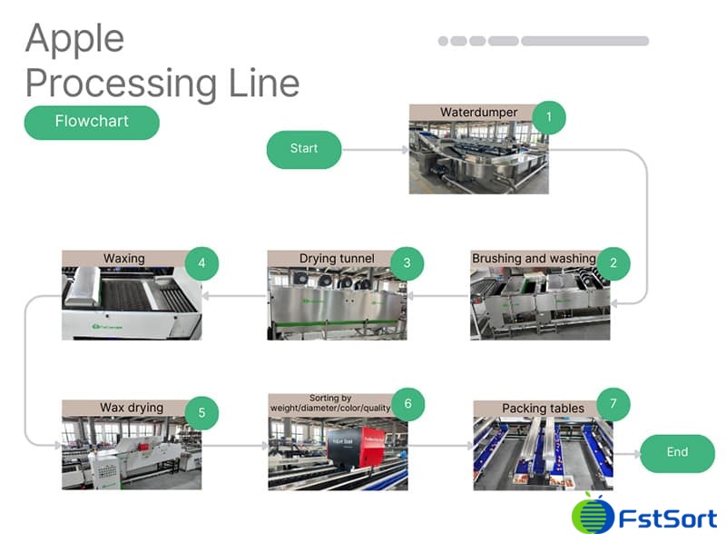 images/1741676002881apple grading packing machine.jpg